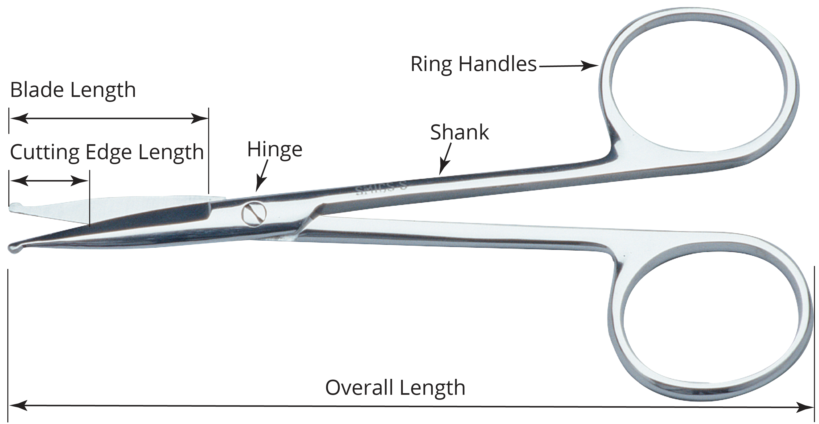 Dissecting Scissors, Sharp / Sharp Point Blades, 6.5 (16.5cm), Curved,  Premium Quality, Stainless Steel