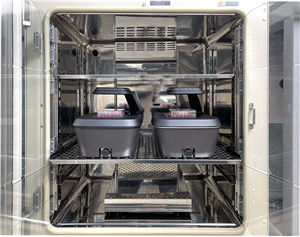 AutoLCI Stacked In Incubator