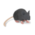 MM001 Mimicky Mouse